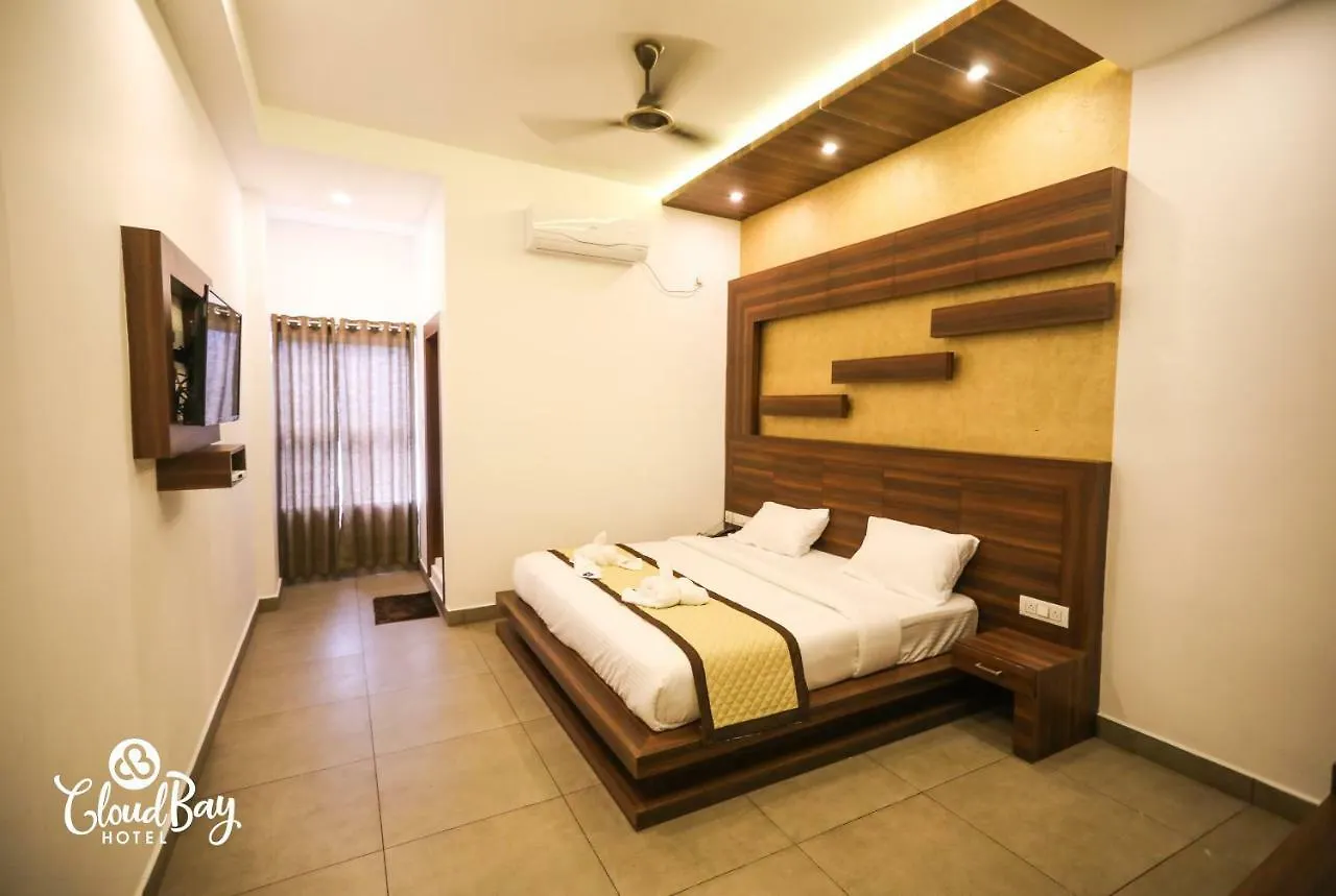 Hotel Cloudbay Kattappana 0*,  インド